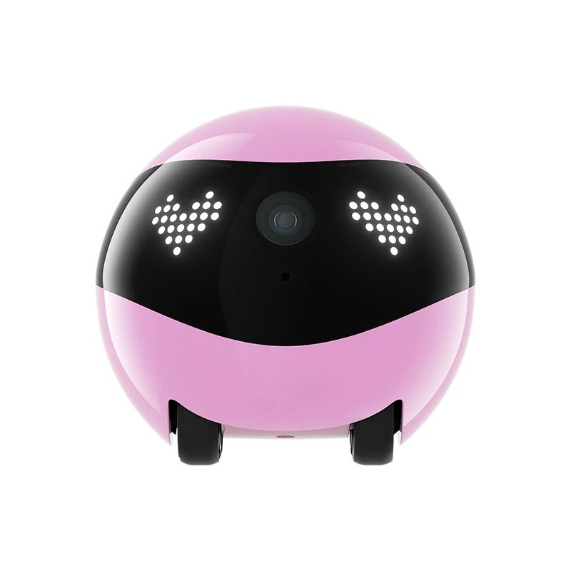 Air2 Camera Robot voor Hond Ka - Home Security Robot recensie en prijs